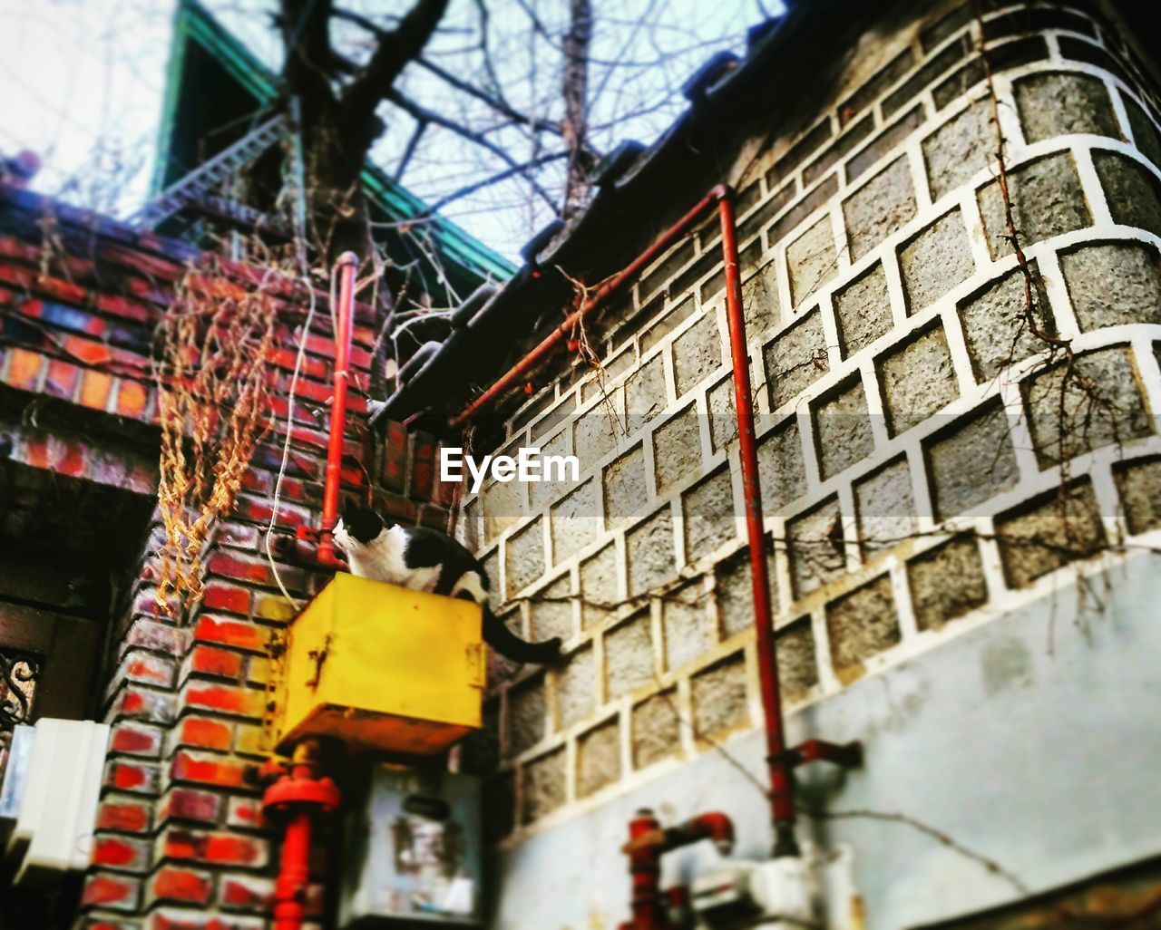 CLOSE-UP LOW ANGLE VIEW OF BUILDINGS