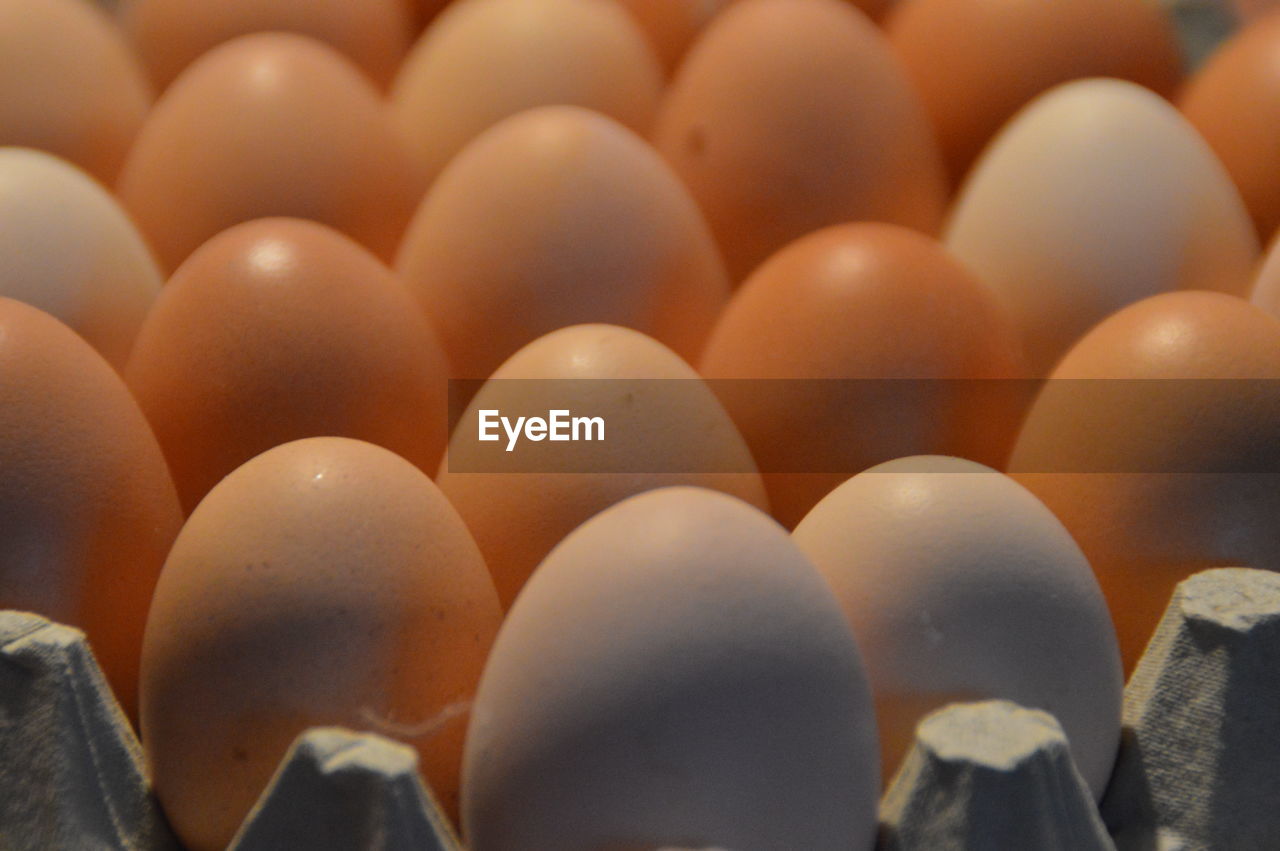 Close-up of eggs arranged in carton