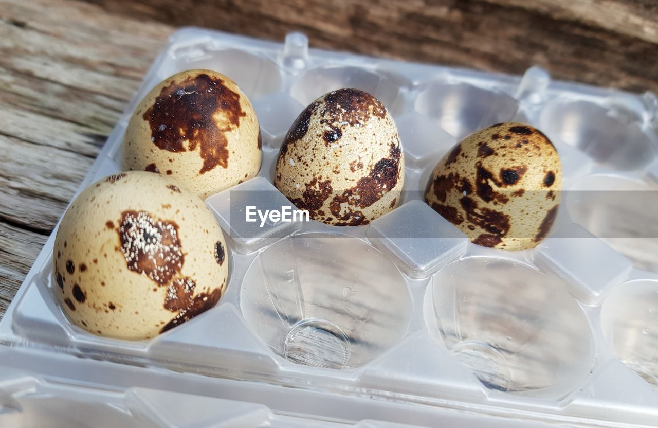 First quail eggs