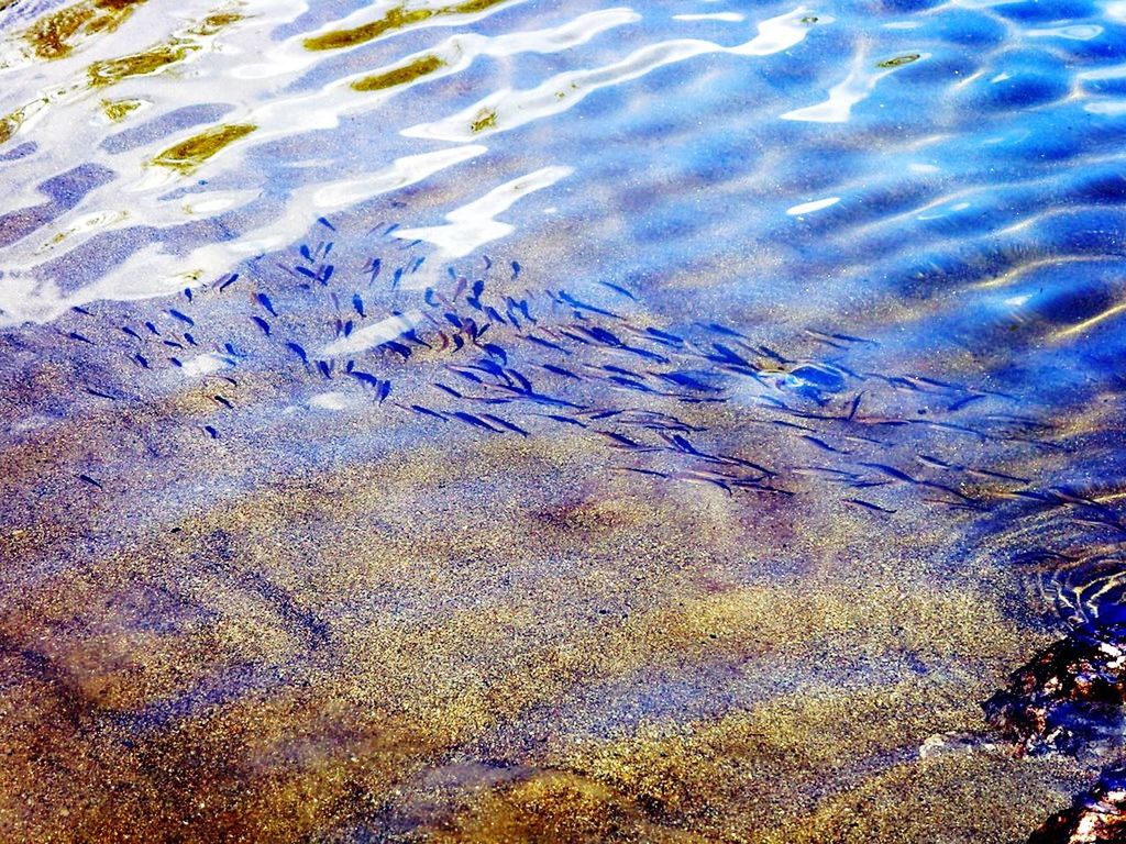 FULL FRAME SHOT OF WATER SURFACE