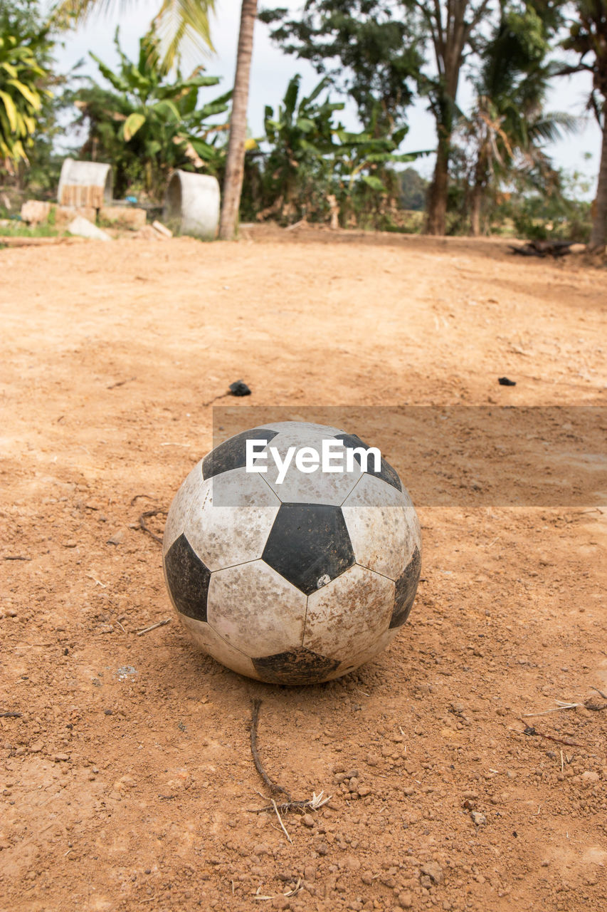 CLOSE-UP OF SOCCER BALL ON FIELD BY TREE