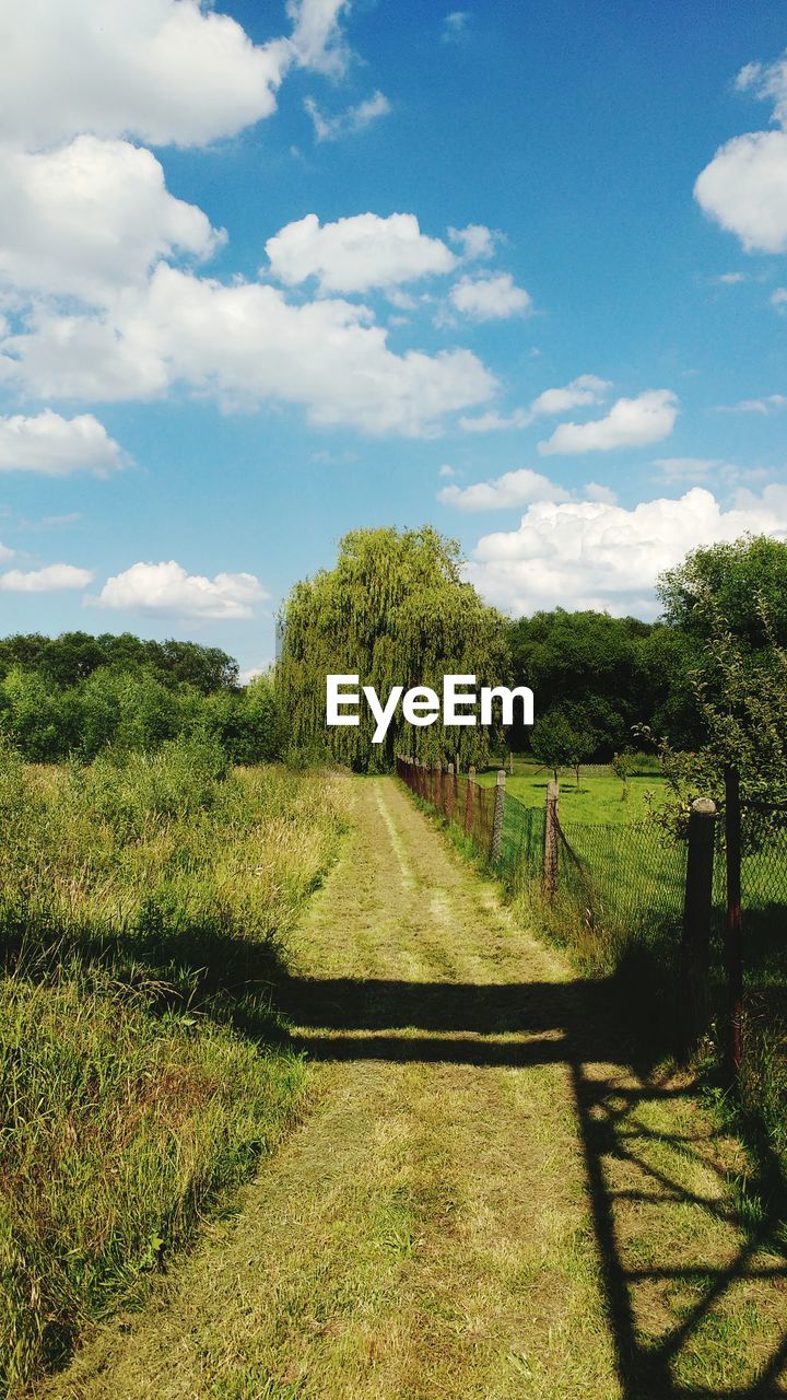 View of trees on countryside landscape