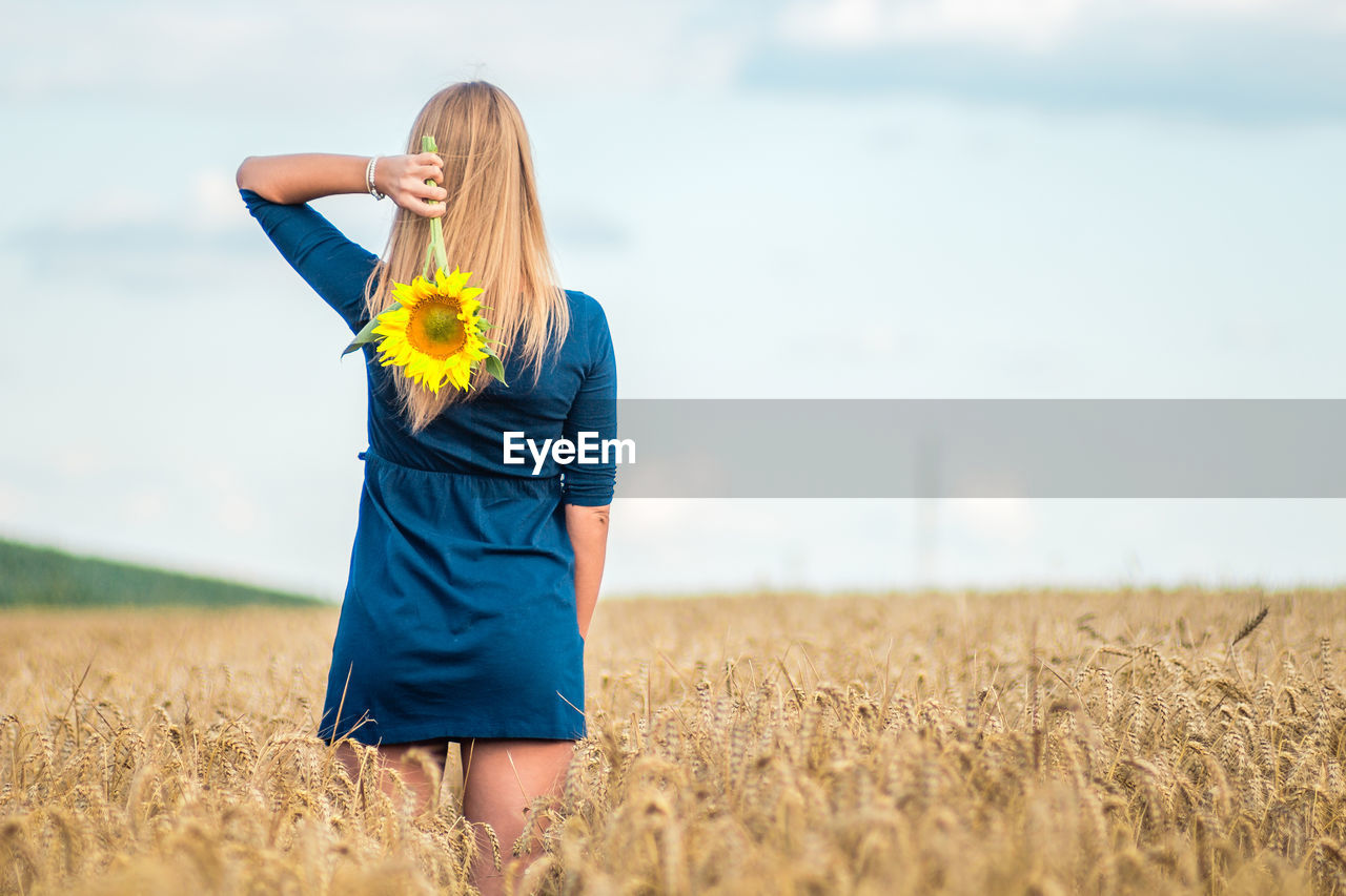 Rear view of young woman throwing sunflower on wheat field against sky