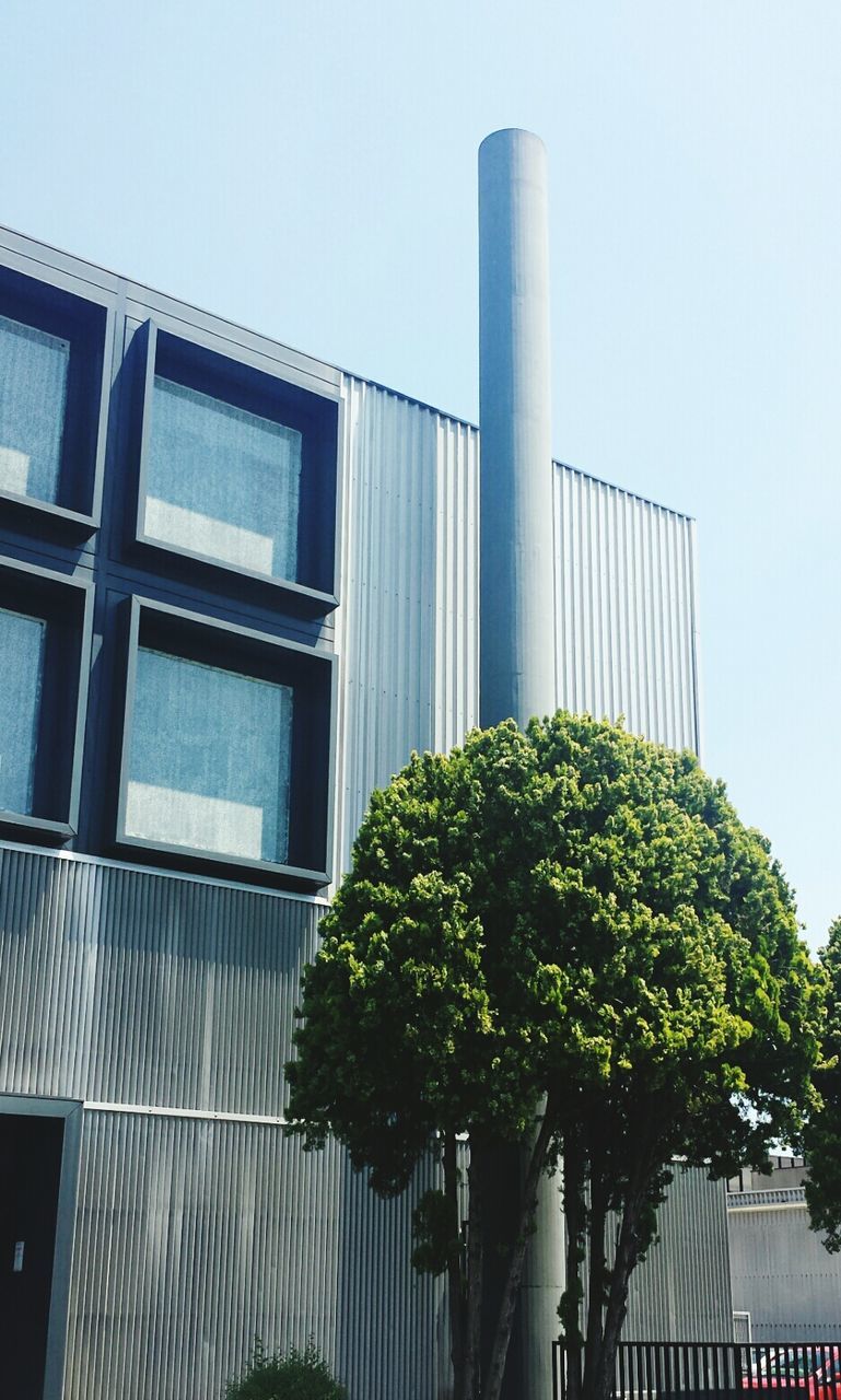 Tree in front of built structure