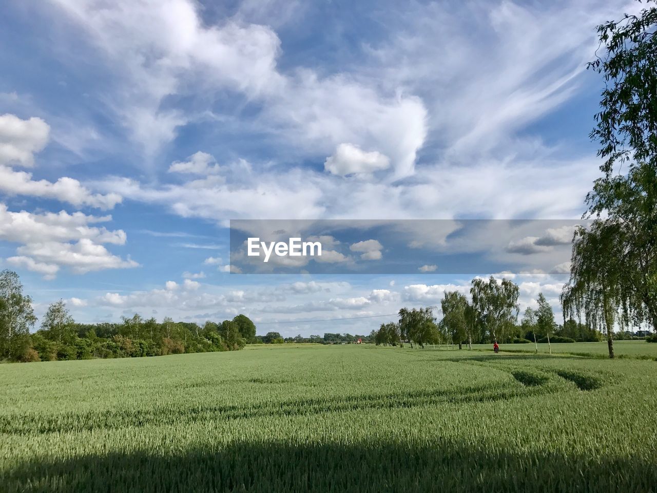 SCENIC VIEW OF FARM FIELD AGAINST SKY