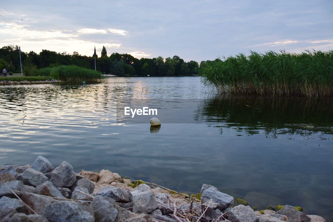 VIEW OF DUCKS IN LAKE