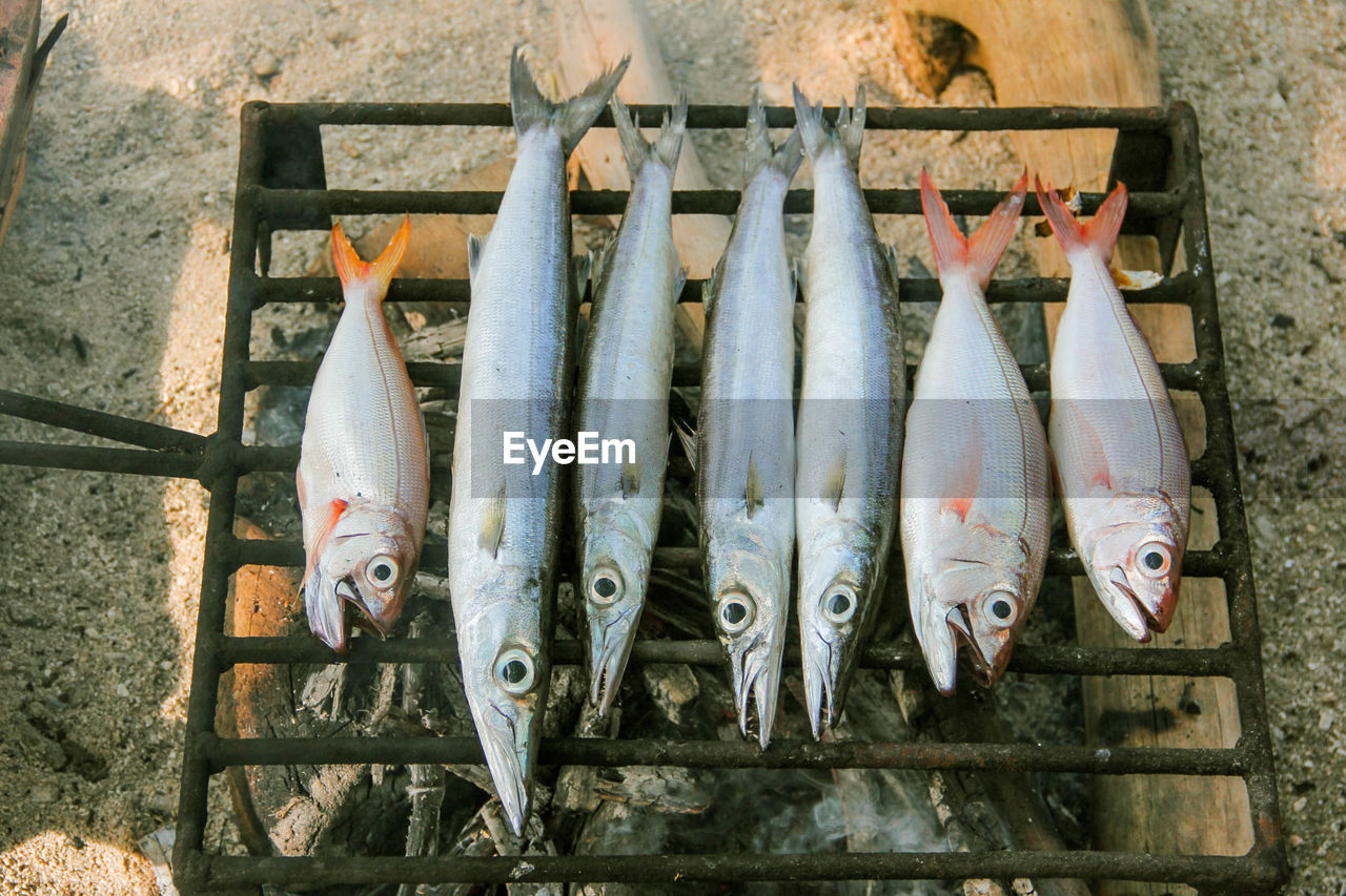 HIGH ANGLE VIEW OF FISH HANGING ON BARBECUE