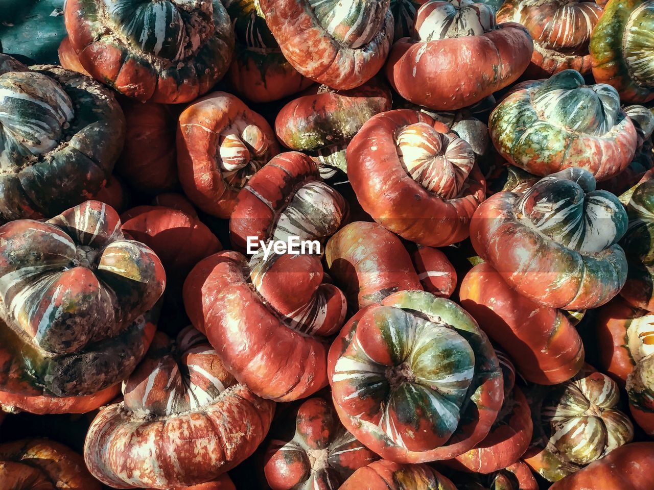 Full frame shot of pumpkins for sale at market