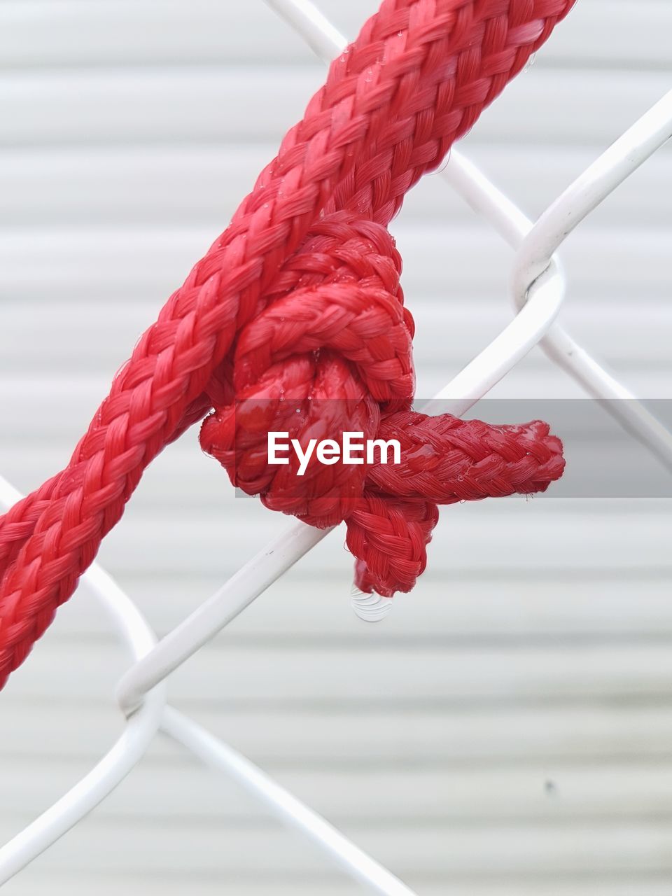 Close-up of red rope tied to railing