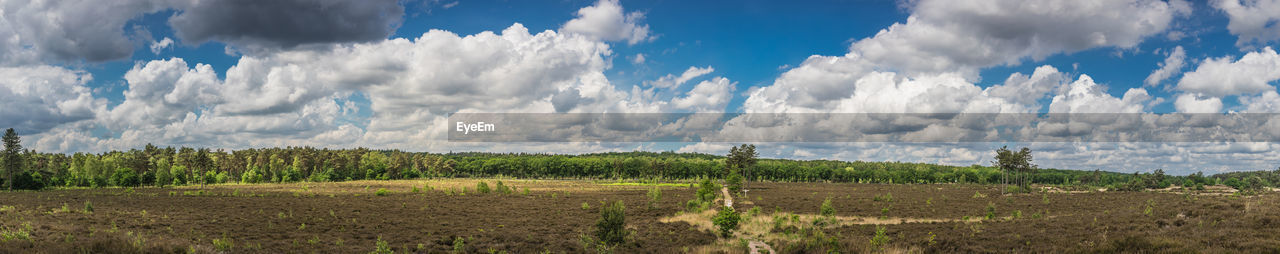 Panoramic view of agricultural field against sky