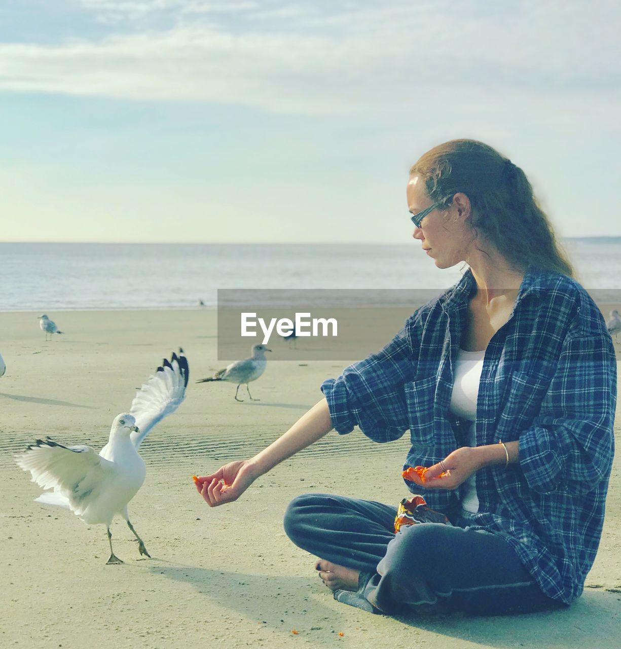 Young woman feeding seagull while sitting at beach