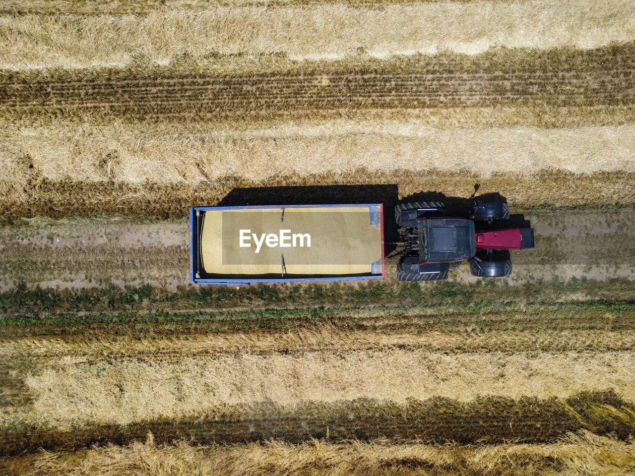 Harvesting scene in the italian countryside