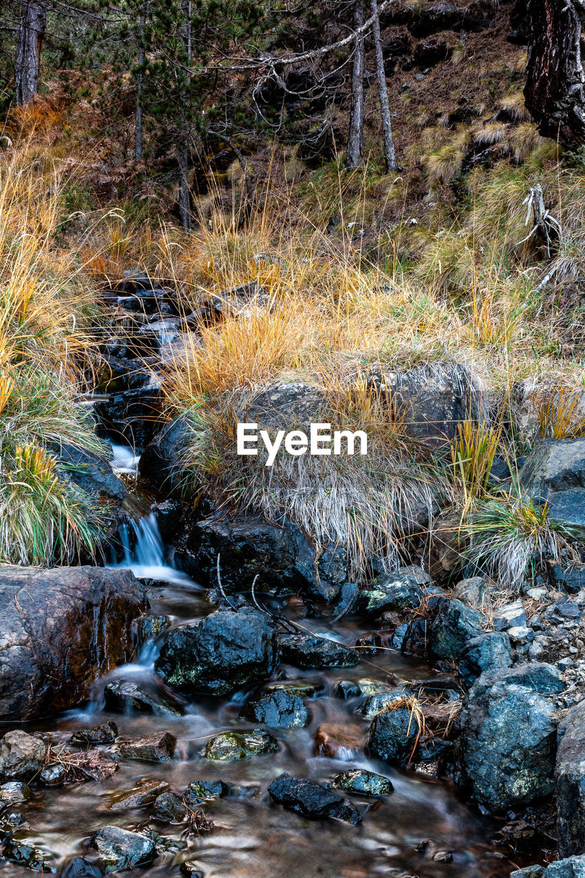 STREAM FLOWING THROUGH ROCKS