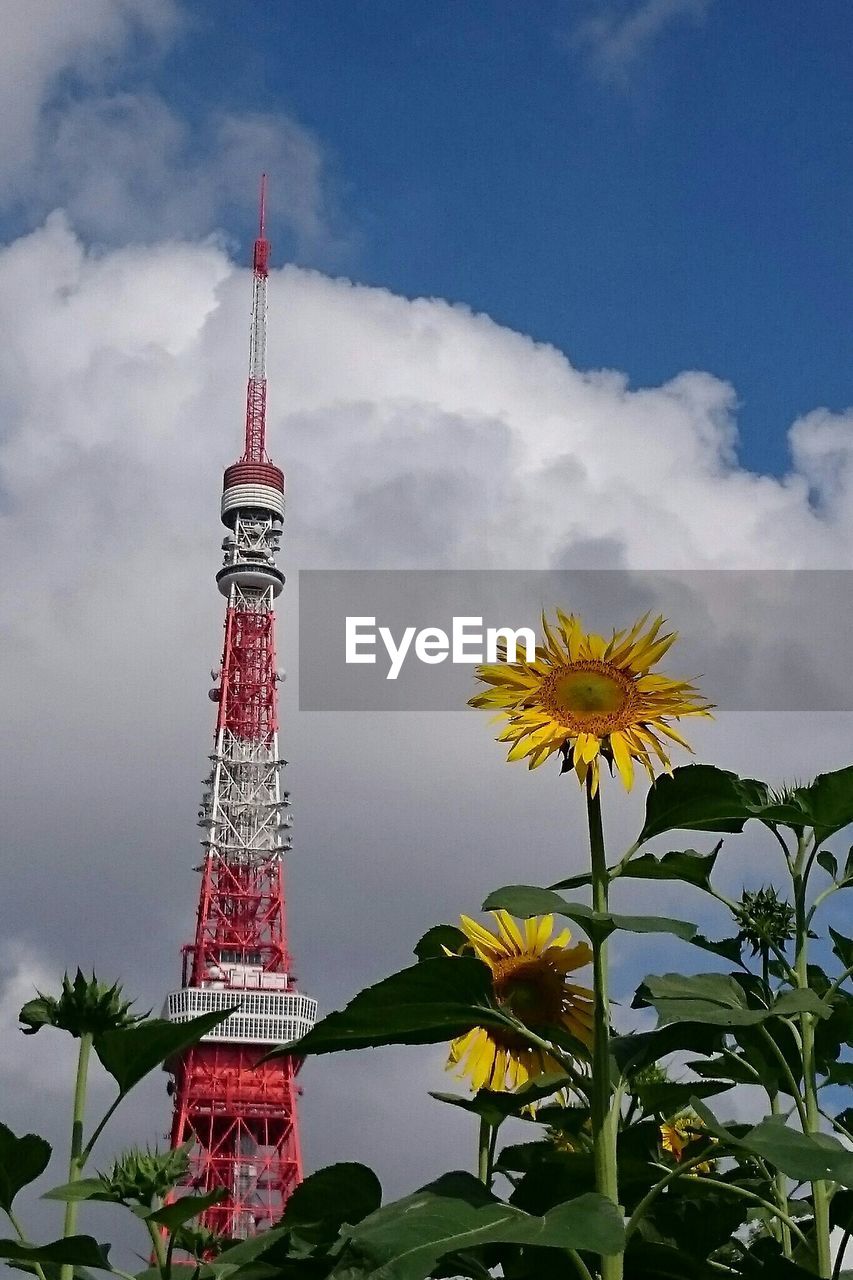 Low angle view of fresh sunflower and tokyo tower against sky