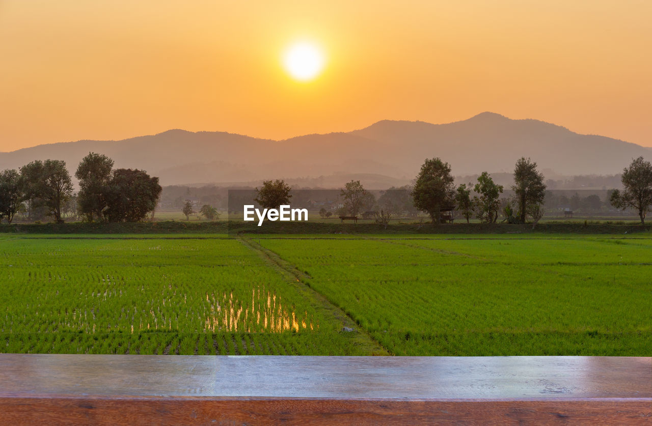 SCENIC VIEW OF FIELD DURING SUNSET