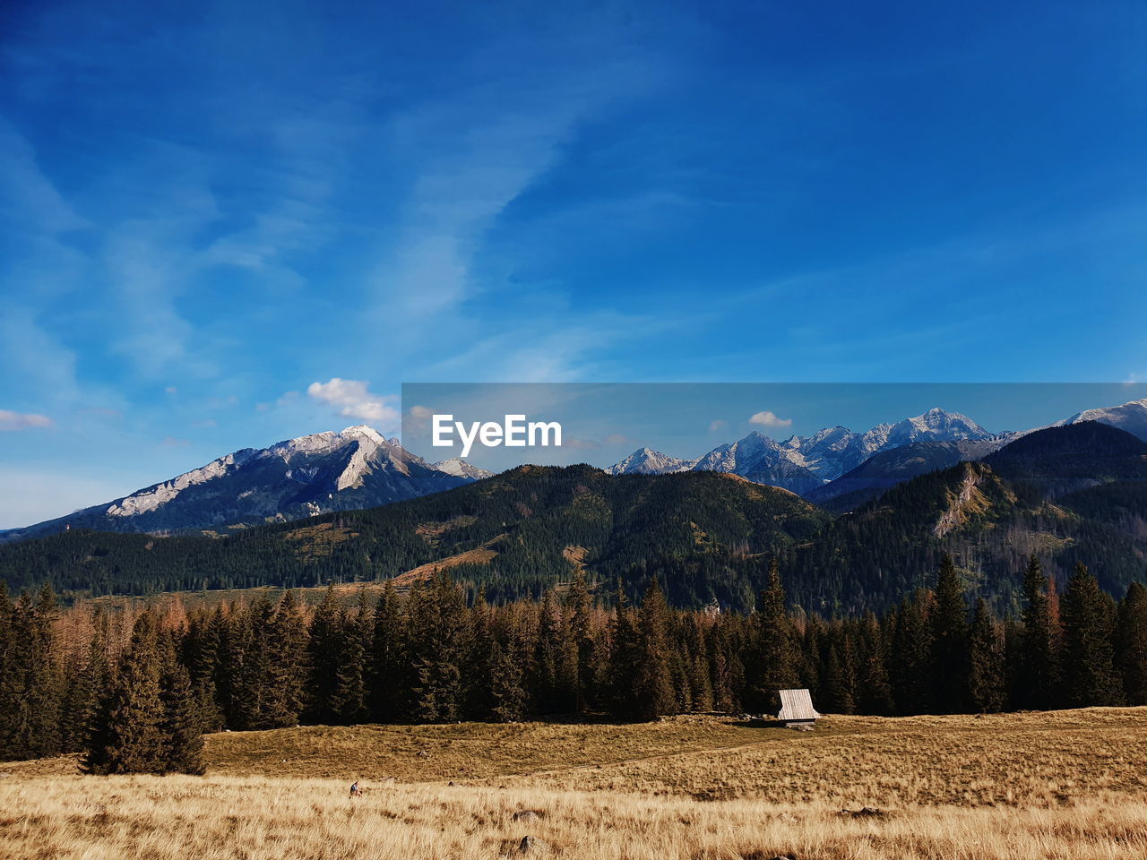 Scenic view of field and mountains against blue sky