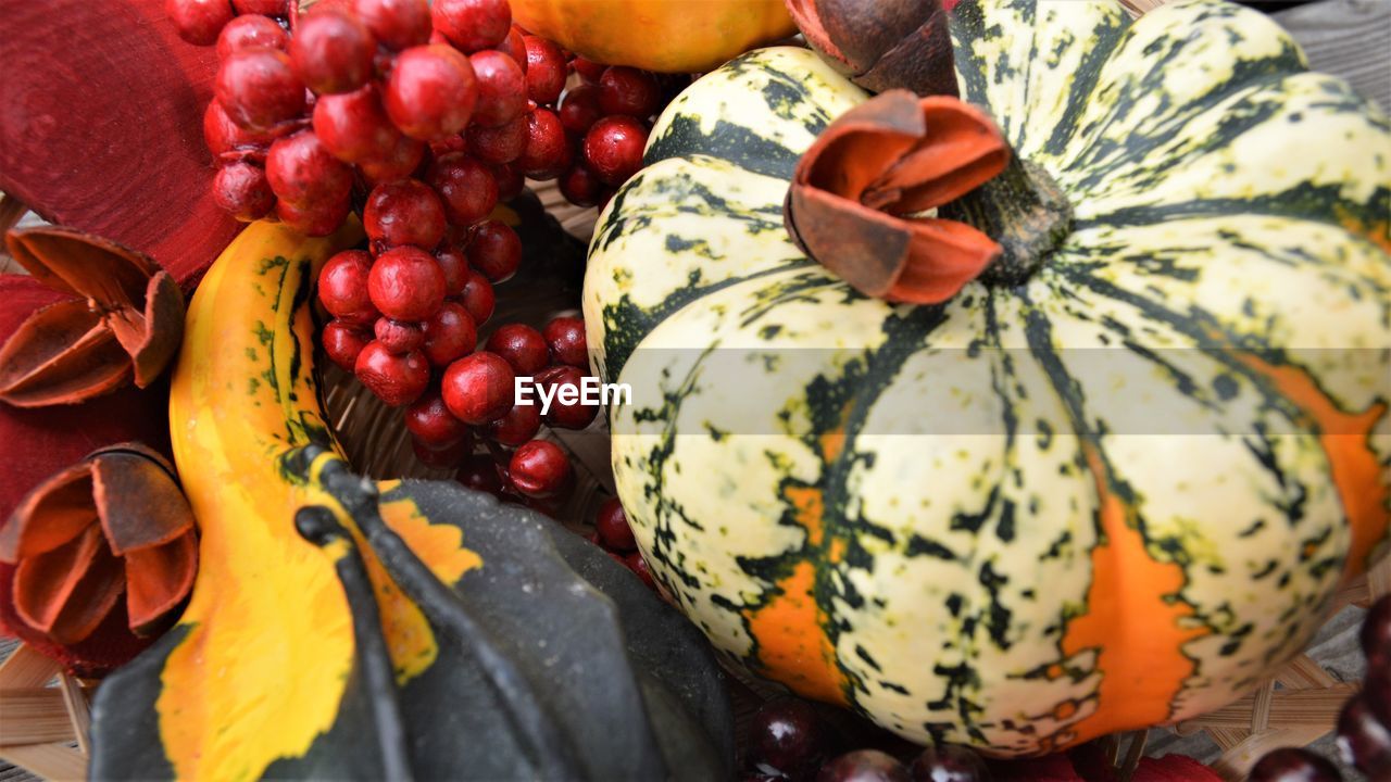 High angle view of pumpkins / harvest 