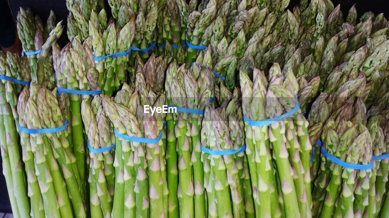 Detail shot of asparagus