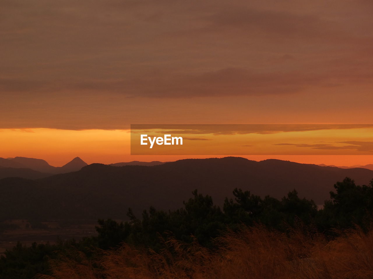 SILHOUETTE TREES AND MOUNTAINS AGAINST ORANGE SKY