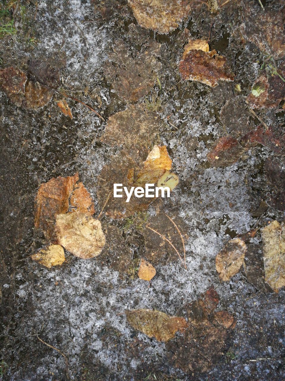 FULL FRAME SHOT OF CRACKED SURFACE