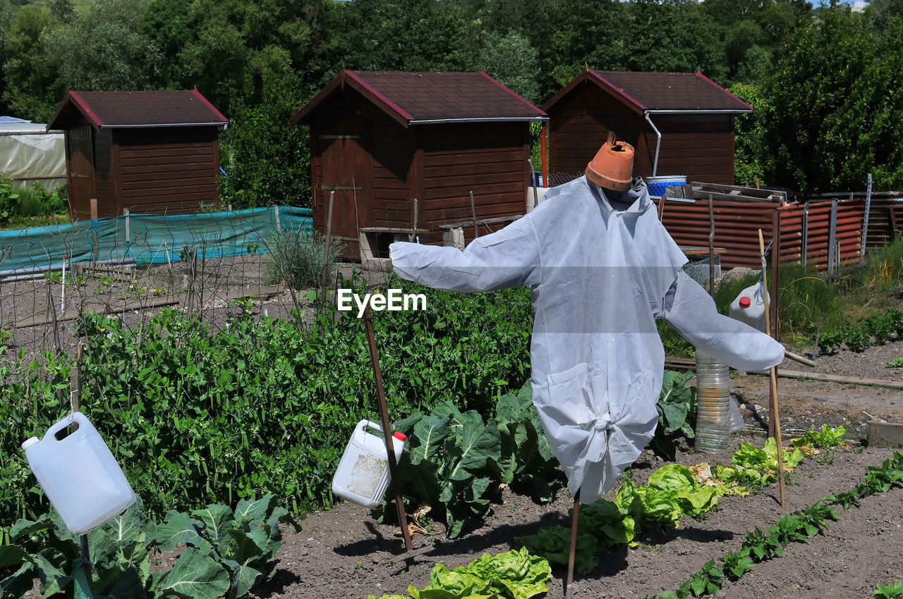 Rear view of man working at farm