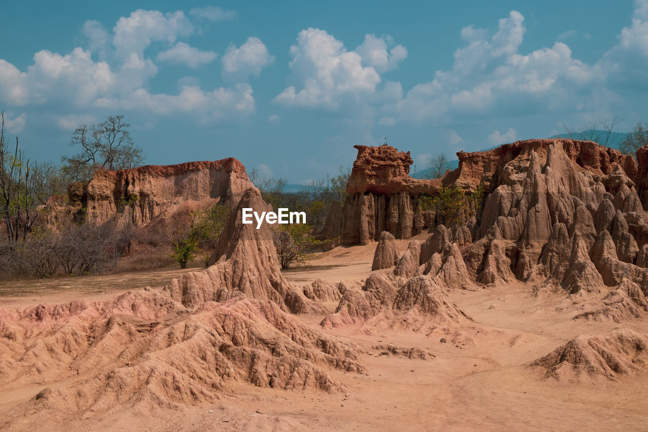 Tree on soil pillar so din na noe in nan province