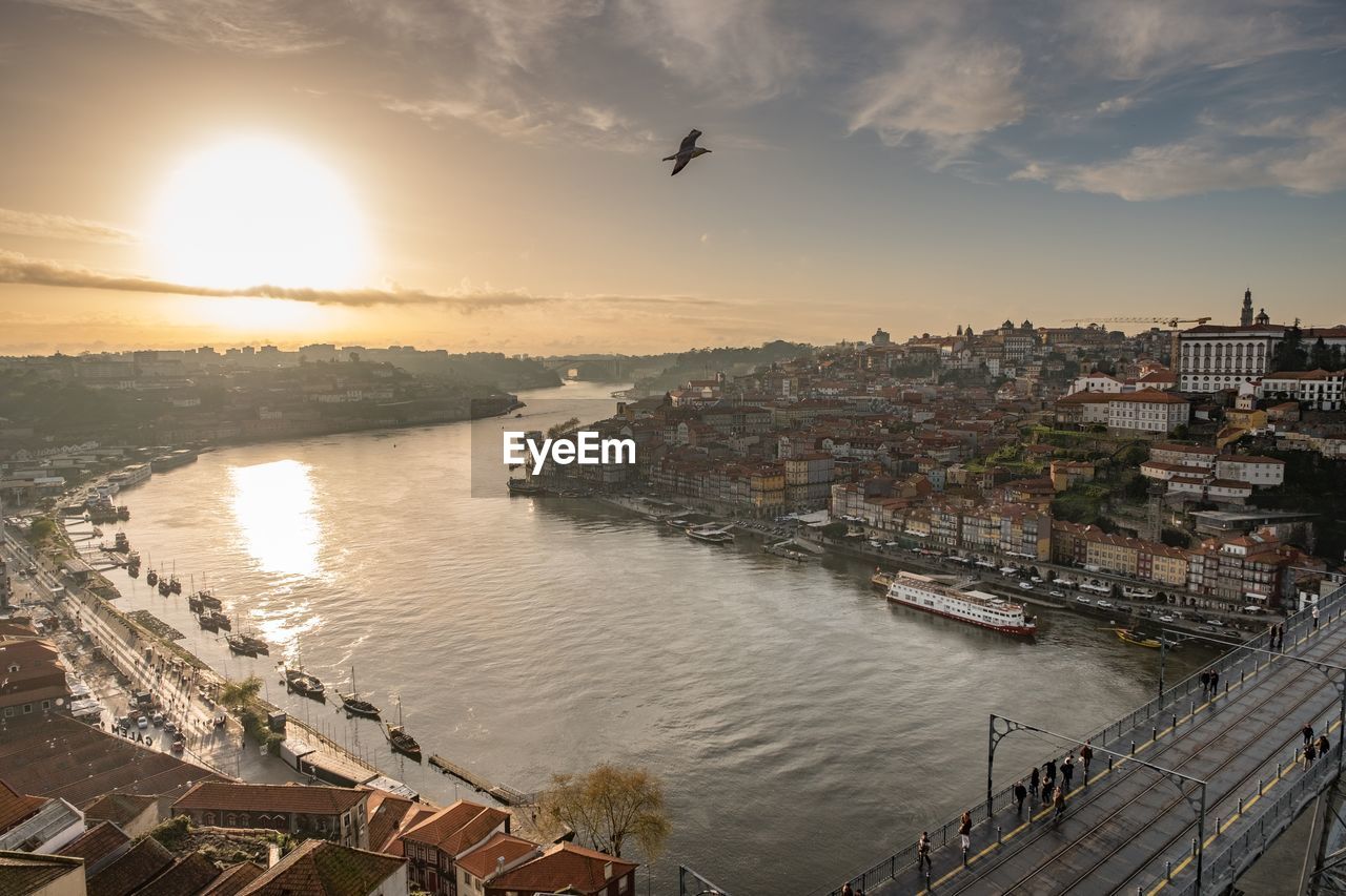 Bird flying over river amidst buildings against sky during sunset