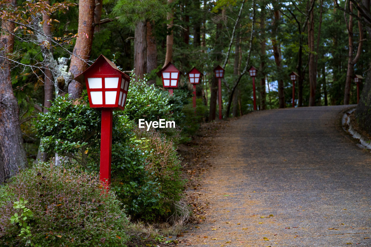 Street amidst trees in park