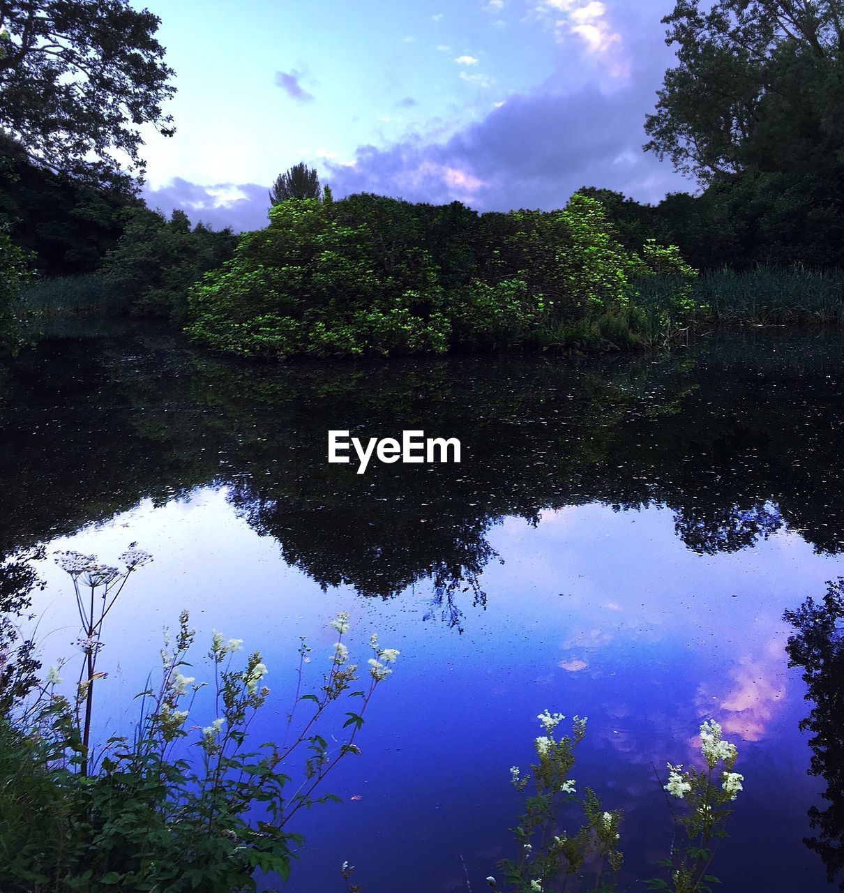 Scenic view of lake by trees against sky