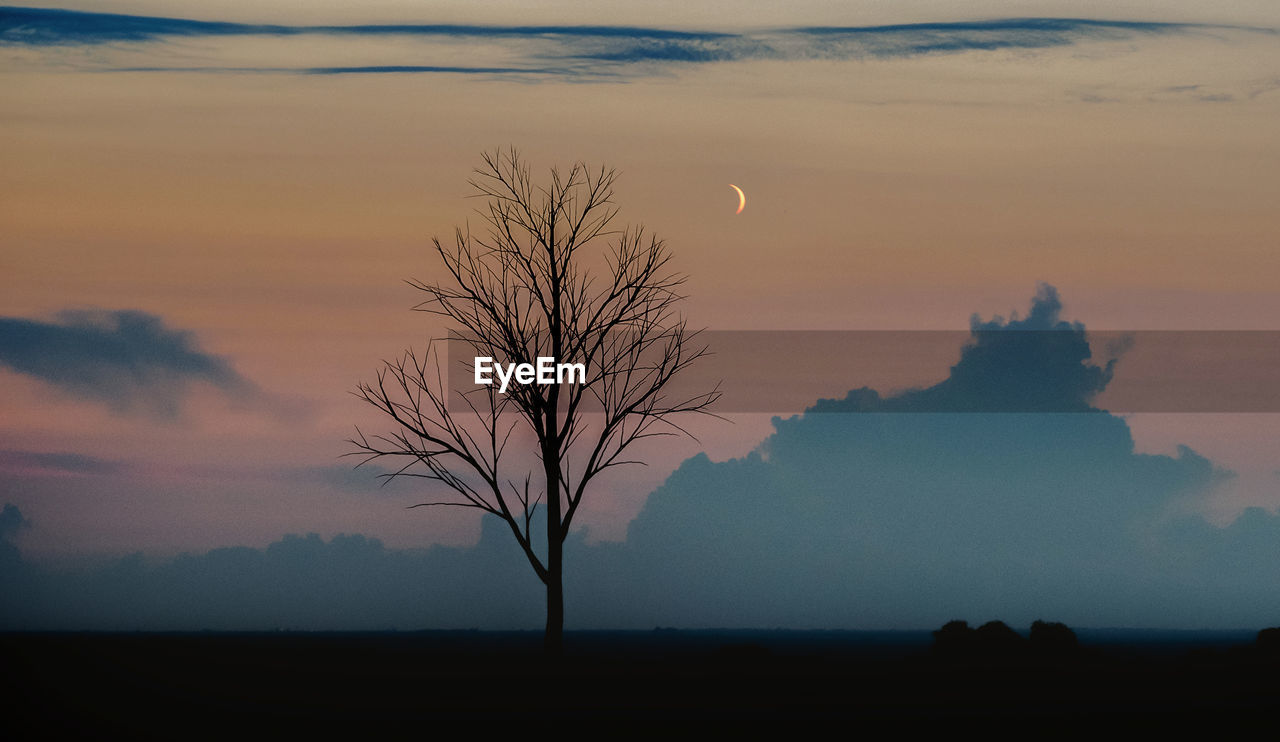 Silhouette bare tree on field against sky at sunset