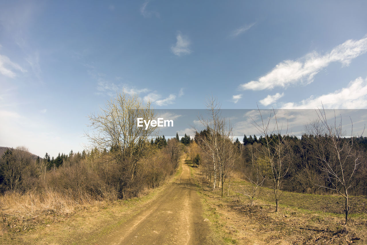 ROAD AMIDST PLANTS AND TREES AGAINST SKY