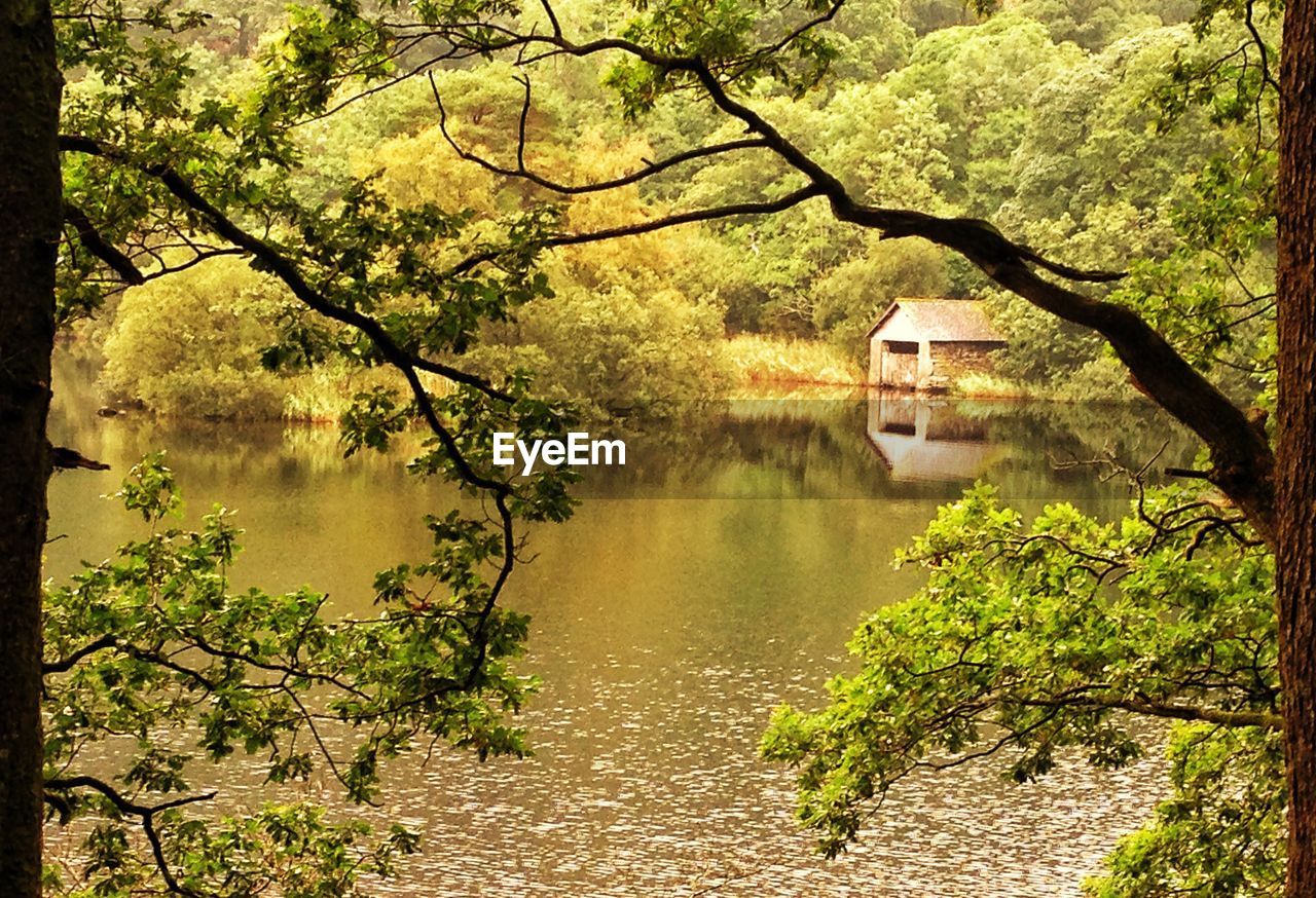 LAKE BY TREES