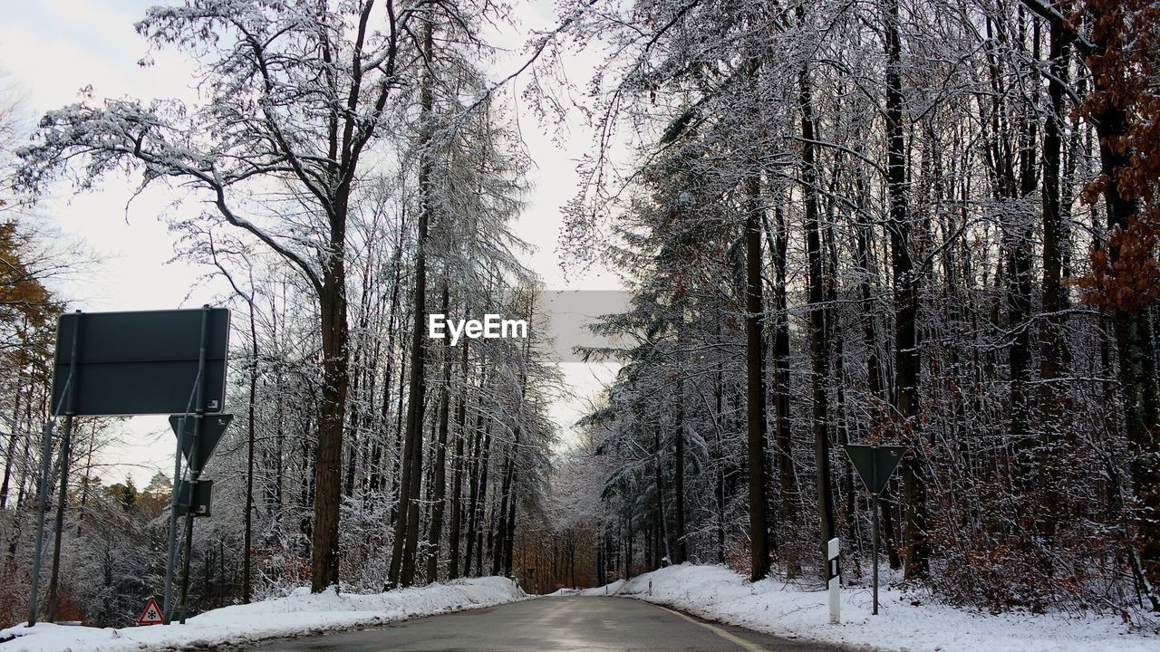 SNOW COVERED LAND AND TREES AGAINST SKY DURING WINTER