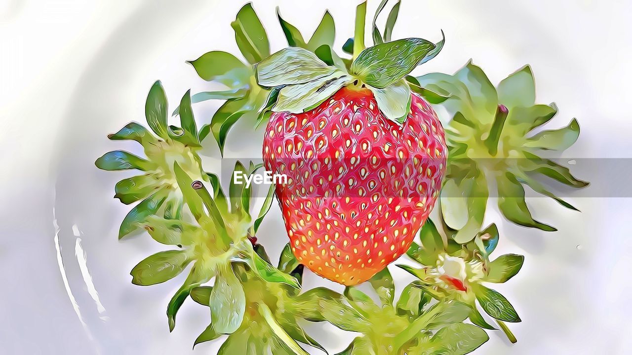 food and drink, food, healthy eating, fruit, strawberry, wellbeing, freshness, plant, produce, leaf, plant part, berry, nature, red, no people, organic, flower, indoors, green, branch, vitamin, studio shot