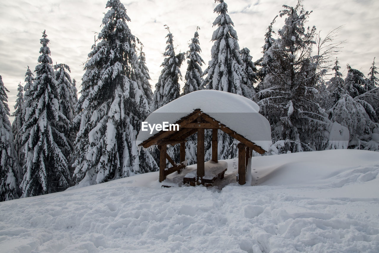 SNOW COVERED FIELD AND TREES AGAINST SKY