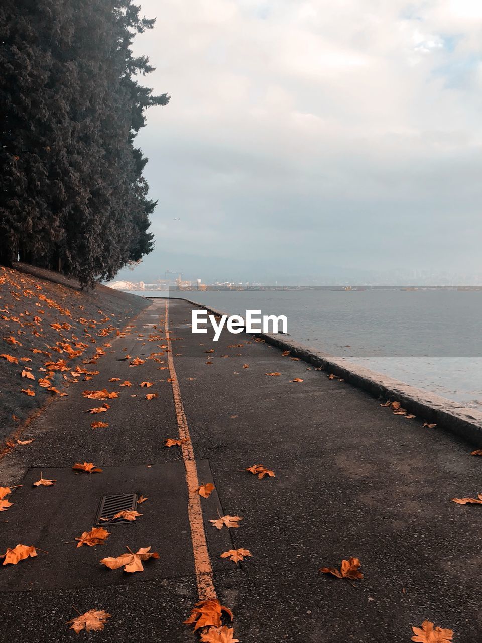 Road by trees against sky during autumn