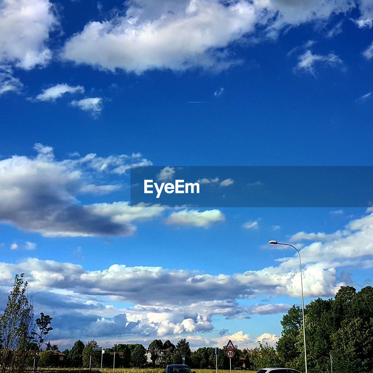 LOW ANGLE VIEW OF BIRDS FLYING OVER TREES AGAINST SKY