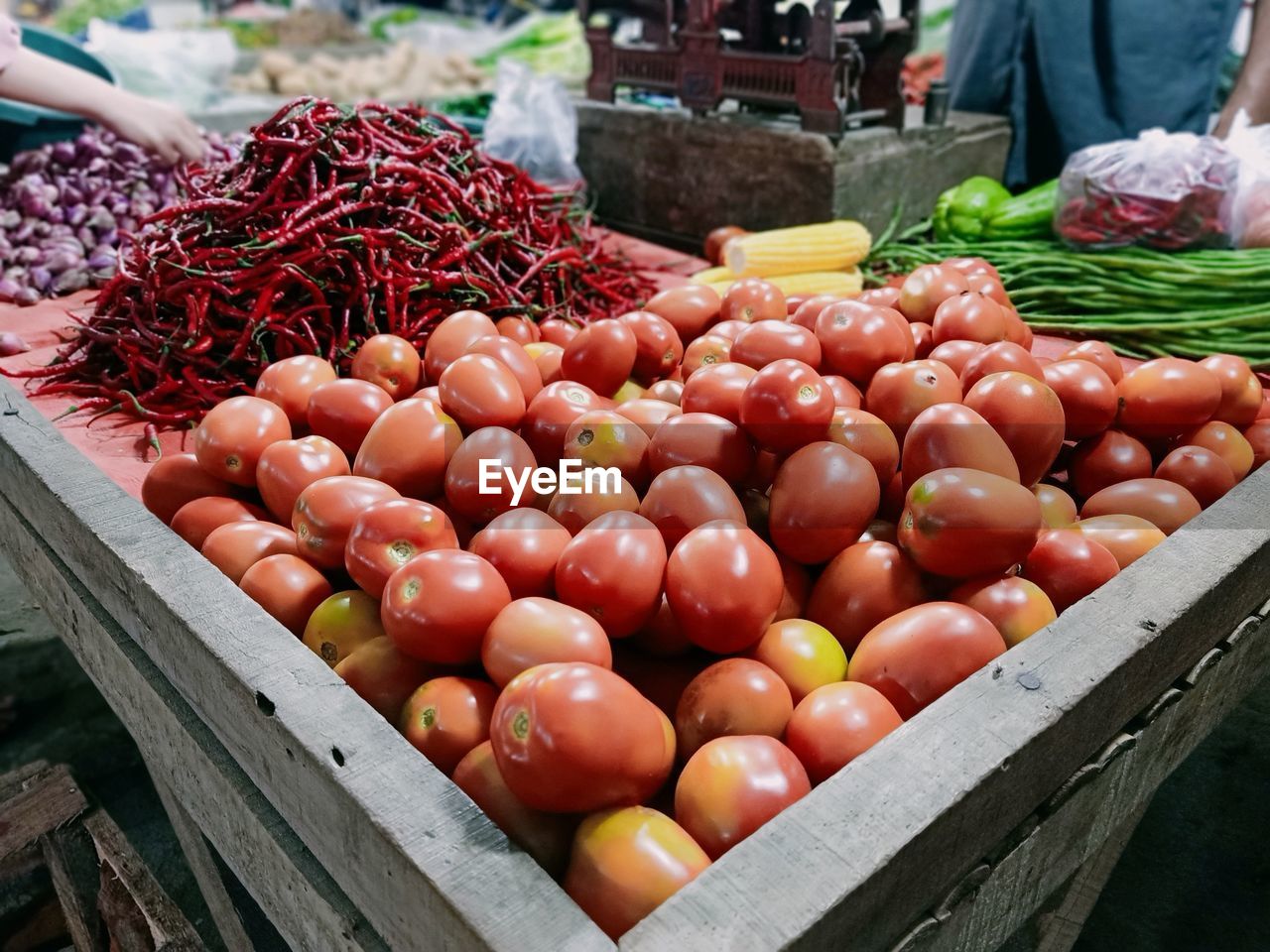 Tomato fruits