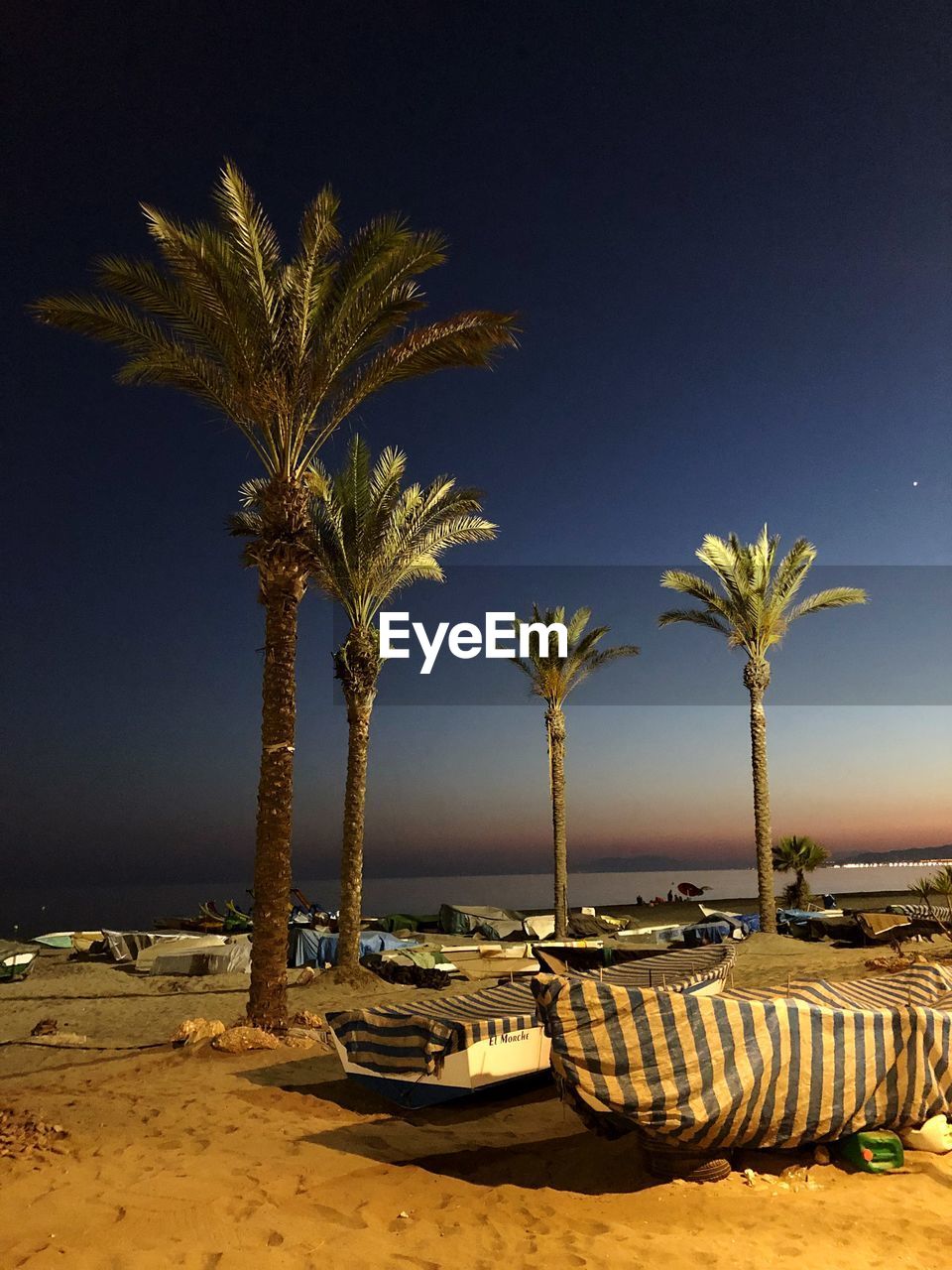 Palm trees on beach against clear sky