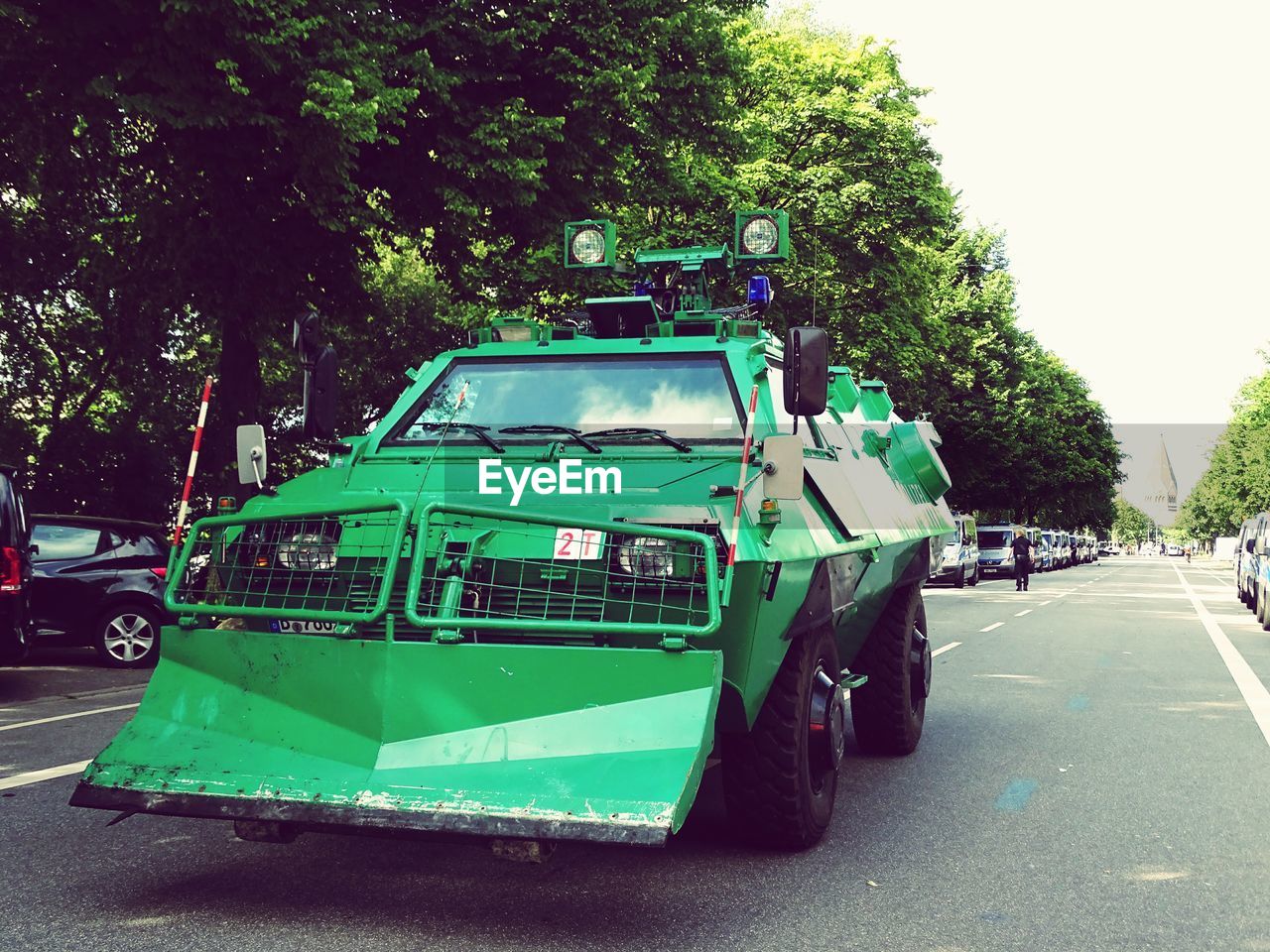 CARS ON STREET BY TREES