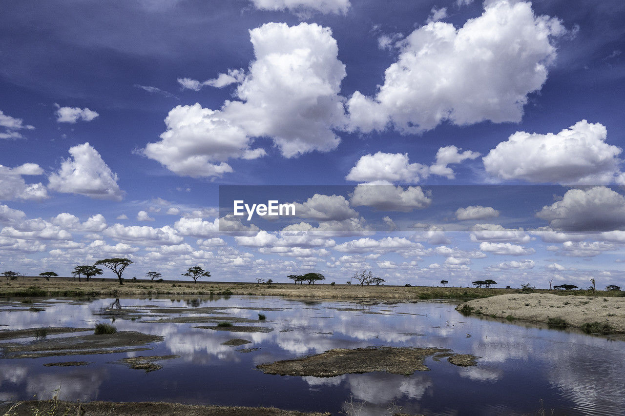 Serengeti, tanzania, october 27, 2023. beautiful landscape reflected in the water