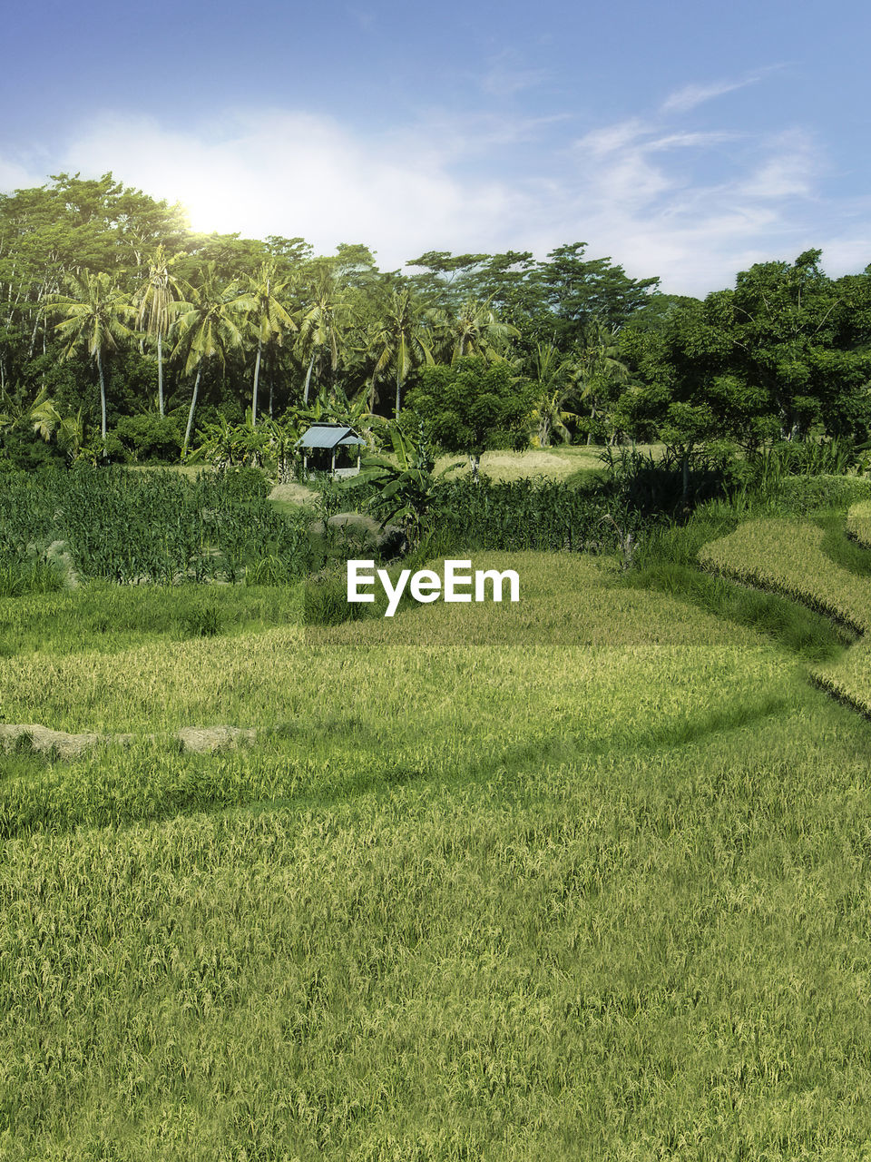 SCENIC VIEW OF LAND AGAINST SKY