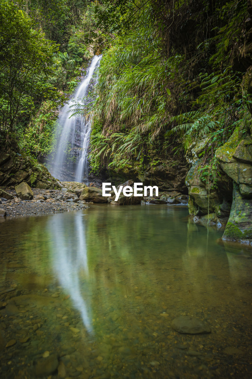 WATER FLOWING THROUGH ROCKS IN FOREST