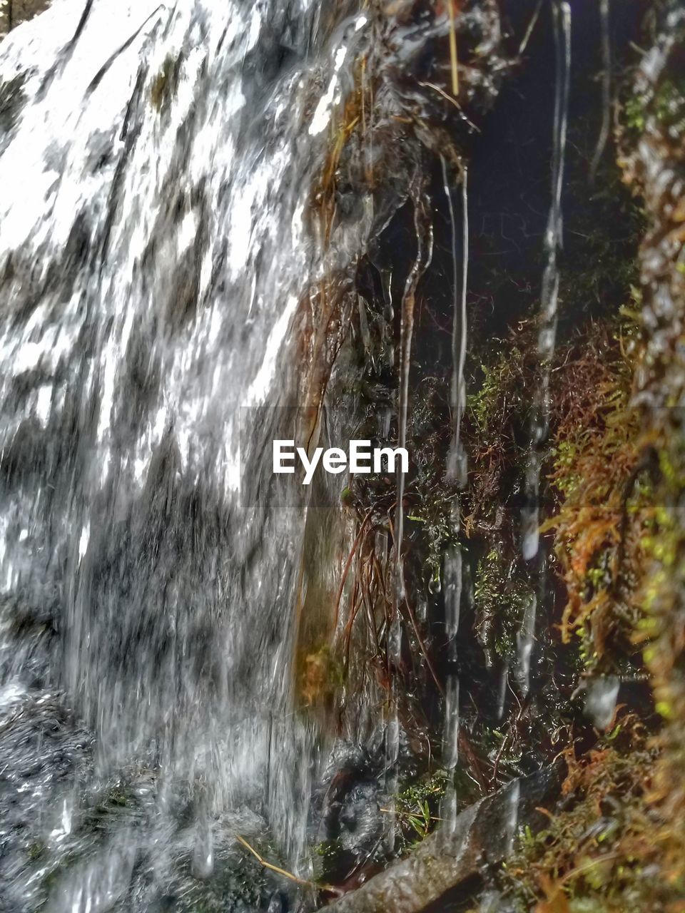 SCENIC VIEW OF WATERFALL