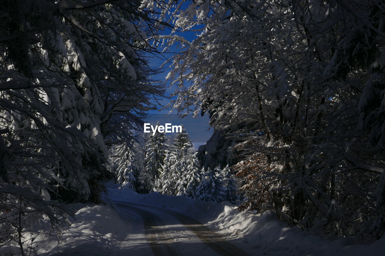 FROZEN TREES ON MOUNTAIN AGAINST SKY