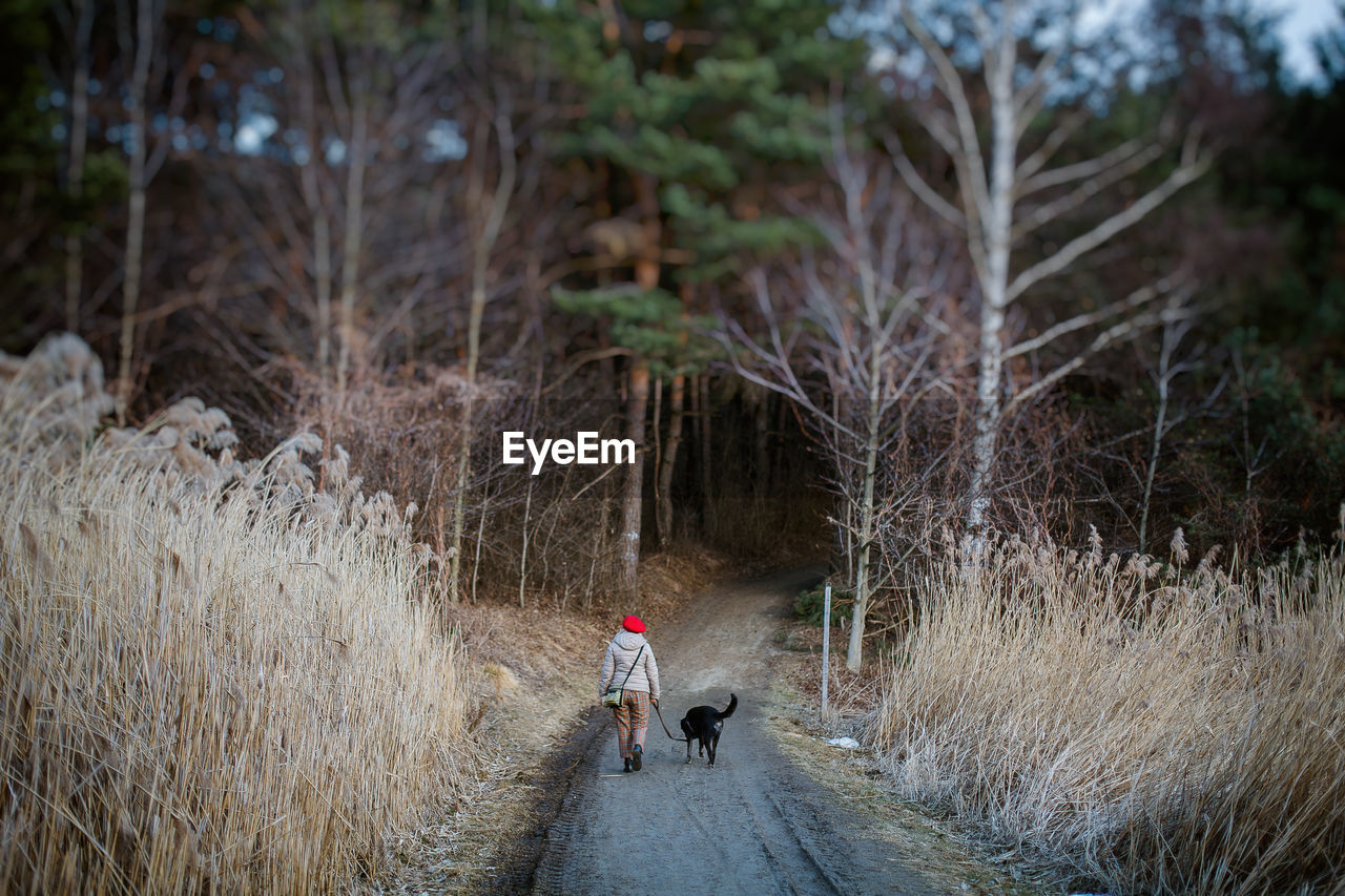 REAR VIEW OF PERSON WALKING ON FOOTPATH