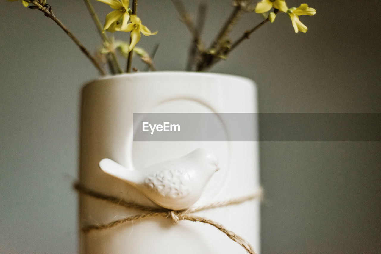 Close-up of white flower in vase