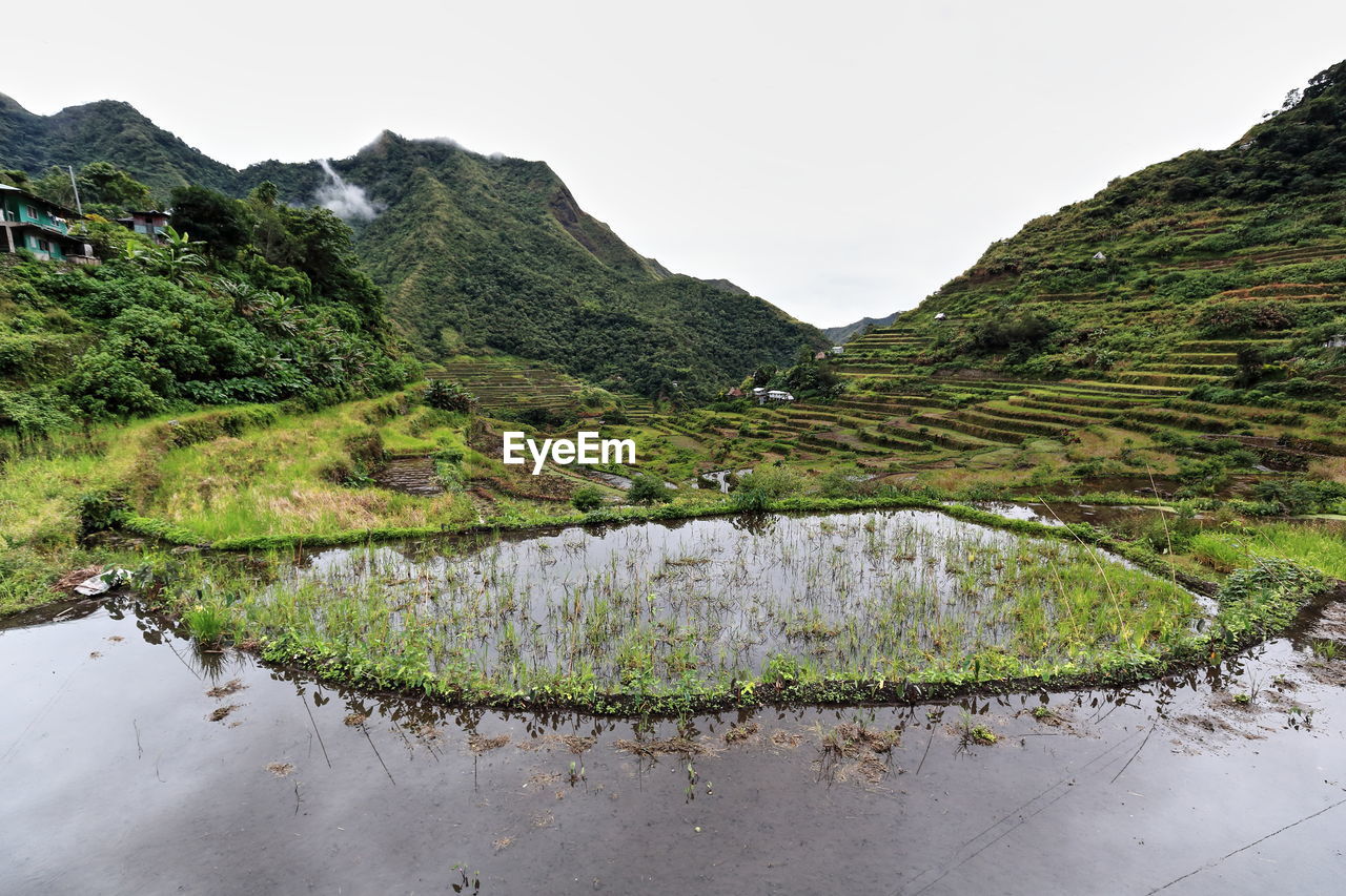 0183 the batad village cluster of the rice terraces of the philippine cordilleras. banaue-luzon-ph.