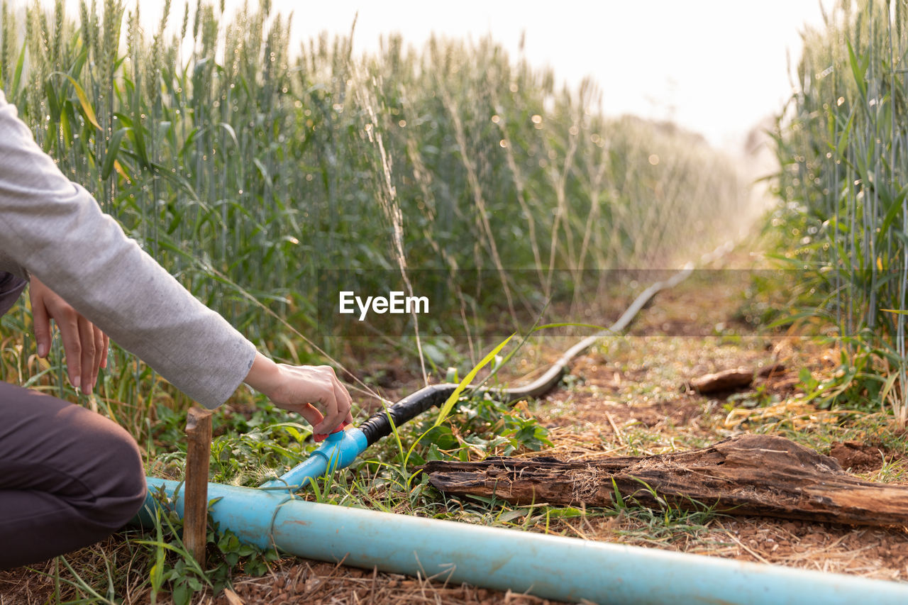 Midsection of woman holding water pipe in farm