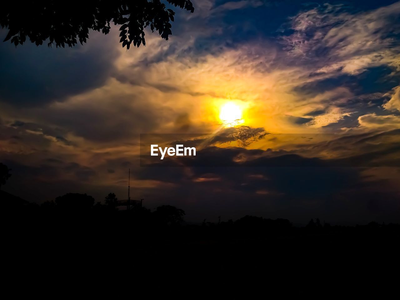 SILHOUETTE TREES ON LANDSCAPE AGAINST ORANGE SKY